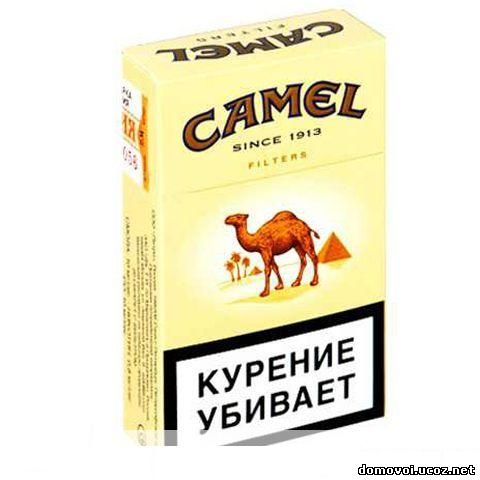 JTI сигареты, Camel