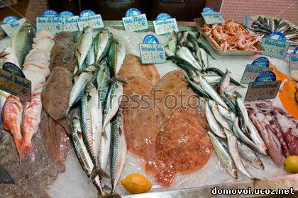 Как выбрать рыбу и морепродукты